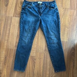 Gently used size 18 cabi Cinch skinny jeans